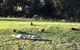Eaglewood B And B And Farmstay - thumb 3