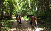 Malibells Country Cottages - Accommodation Sunshine Coast 1