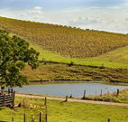 Sanctuary Hill Retreat - Accommodation Sunshine Coast