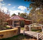 Starline Alpaca Farm Stay - Accommodation Sunshine Coast