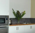 Toolond Plantation - Accommodation Sunshine Coast