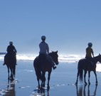 Whispering Brook - Accommodation Sunshine Coast