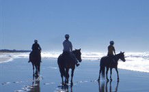 Whispering Brook - Accommodation Sunshine Coast 0