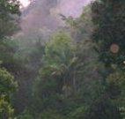 Havans Ecotourist Retreat - - Accommodation Sunshine Coast