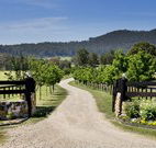Pemberley Grange Hunter Valley Getaway - Accommodation Sunshine Coast