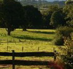 Pines on the Plateau - Accommodation Sunshine Coast