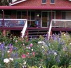 Rose Patch Bed and Breakfast - Accommodation Sunshine Coast