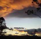 Silkwood B and B - Accommodation Sunshine Coast