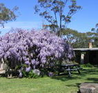 Studio Cottages
