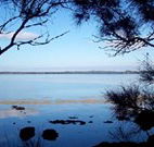 The Edgewater Bed and Breakfast - Accommodation Sunshine Coast