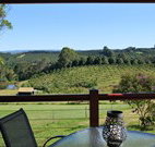 The Shed B and B - Accommodation Sunshine Coast