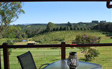 The Shed B And B - Accommodation Sunshine Coast 0