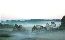 The Shed B And B - Accommodation Sunshine Coast 2
