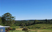 The Shed B And B - Accommodation Sunshine Coast 1