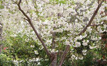 Valley Of The Waters Bed And Breakfast - Accommodation Sunshine Coast 7