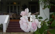 White House Heritage Guesthouse - Accommodation Sunshine Coast 0