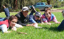 Murwillumbah  YHA Mount Warning - Accommodation Sunshine Coast 2