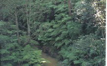 Eco Huts - Jervis Bay Getaways - Accommodation Sunshine Coast 1