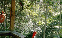 Eco Huts - Jervis Bay Getaways - Accommodation Sunshine Coast 2