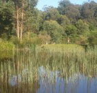 Fosterton Lodge Retreat - Accommodation Sunshine Coast
