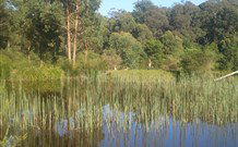 Fosterton Lodge Retreat - Accommodation Sunshine Coast 0