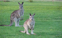 Leslie Cottage - Accommodation Sunshine Coast 6