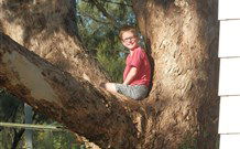 Leslie Cottage - Accommodation Sunshine Coast 7
