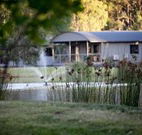 Mt Clunie Cabins - Accommodation Sunshine Coast