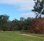 Mulberry Cottage - Accommodation Sunshine Coast