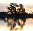 Myuna Bay Sport and Recreation Centre - Accommodation Sunshine Coast