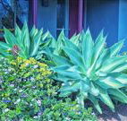 Retreat Homestead - Accommodation Sunshine Coast