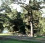 Rustic Caravan Park - Accommodation Sunshine Coast