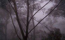 SeaChange Holiday Cottage And SeaStay Cottage - Accommodation Sunshine Coast 4