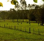 Stone Cottage Mittagong - Accommodation Sunshine Coast