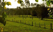 Stone Cottage Mittagong - Accommodation Sunshine Coast 0
