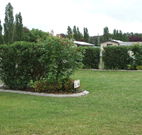 Wheatfield Cottage - Accommodation Sunshine Coast