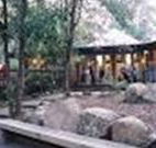 Williams River Holiday Park - Accommodation Sunshine Coast