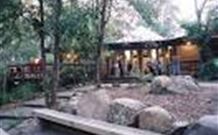 Williams River Holiday Park - Accommodation Sunshine Coast 0