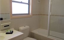 Willow Tree Inn - Accommodation Sunshine Coast 3
