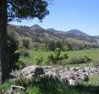 Woolshed Hill Estate - Accommodation Sunshine Coast