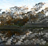Greysen Farmstay - Accommodation Sunshine Coast