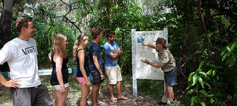 Magnetic Island YHA - Accommodation Sunshine Coast 8