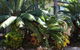 Hinchinbrook Marine Cove Resort Lucinda - thumb 3