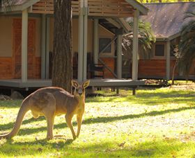 Carnarvon Gorge Wilderness Lodge - Accommodation Sunshine Coast 3