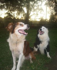 Brockhurst Farm Accommodation / Wedding Venue - Accommodation Sunshine Coast 1
