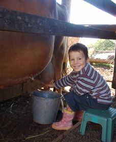 Brockhurst Farm Accommodation / Wedding Venue - Accommodation Sunshine Coast 2