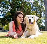 Jacobs Well Tourist Park - Accommodation Sunshine Coast