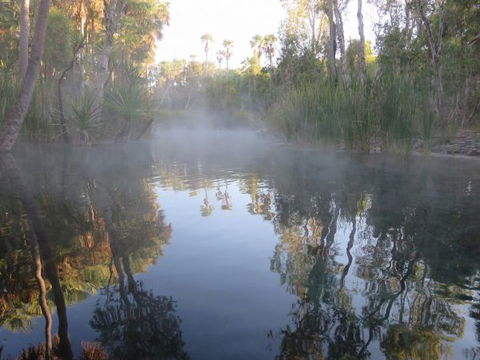 Bitter Springs Cabins And Camping - Accommodation Sunshine Coast 8