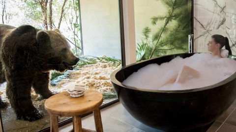 Jamala Wildlife Lodge - Accommodation Sunshine Coast 0