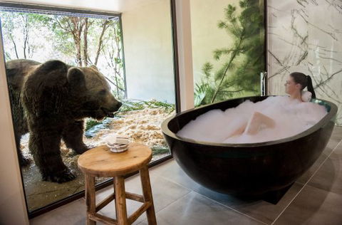 Jamala Wildlife Lodge - Accommodation Sunshine Coast 1